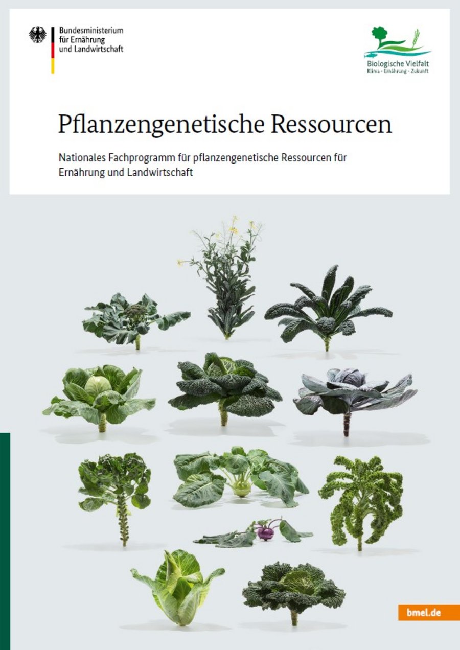ein Ausschnitt des Titelbildes des nationalen Fachprogramms Pflanzen genetische Ressourcen. Mausklick führt zur vergrößerten Ansicht