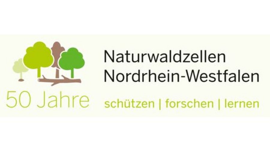 Logo 50 Jahre Naturwaldzellen
