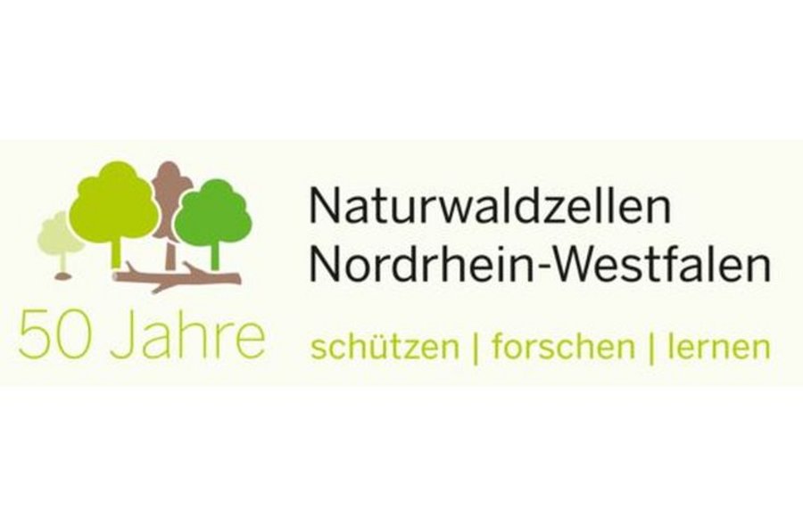 Logo 50 Jahre Naturwaldzellen