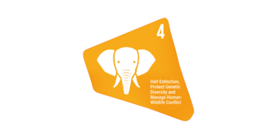 Puzzlestück in orange mit Elefanten-Icon und Text.