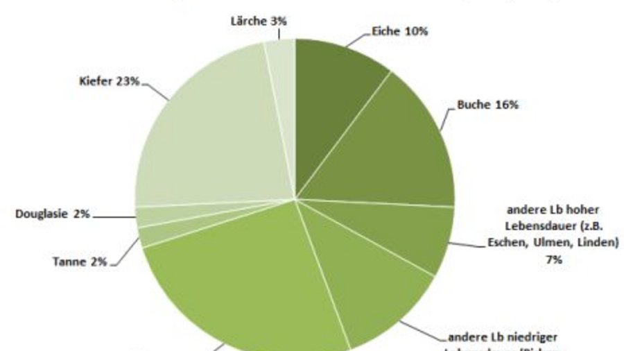 Pie chart for tree species distribution. Mouse click leads to enlarged view 