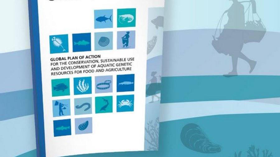 Titelseite Broschüre "globaler Aktionsplan"