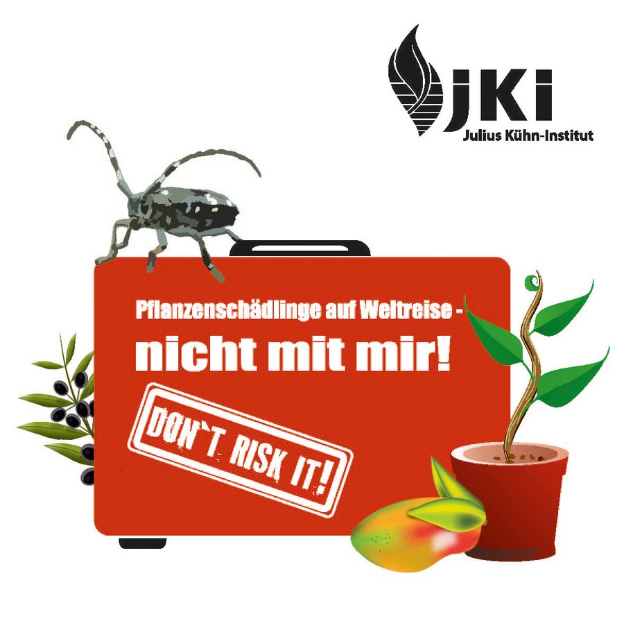 [Translate to en:] Plant pest on a suitcase with the inscription plant pests on world travel - not with me! Don`t risk it!