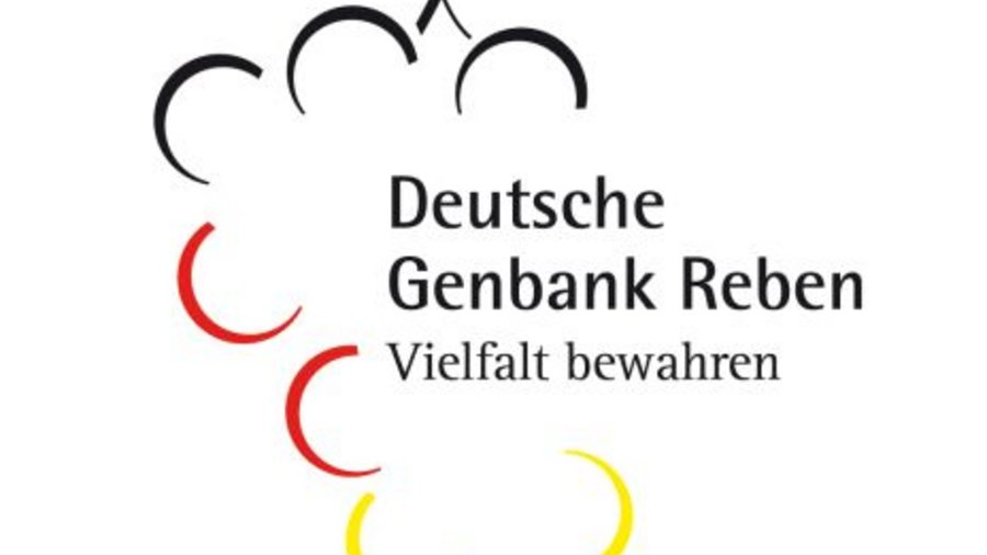 Logo DRG. Click leads to enlarged view.