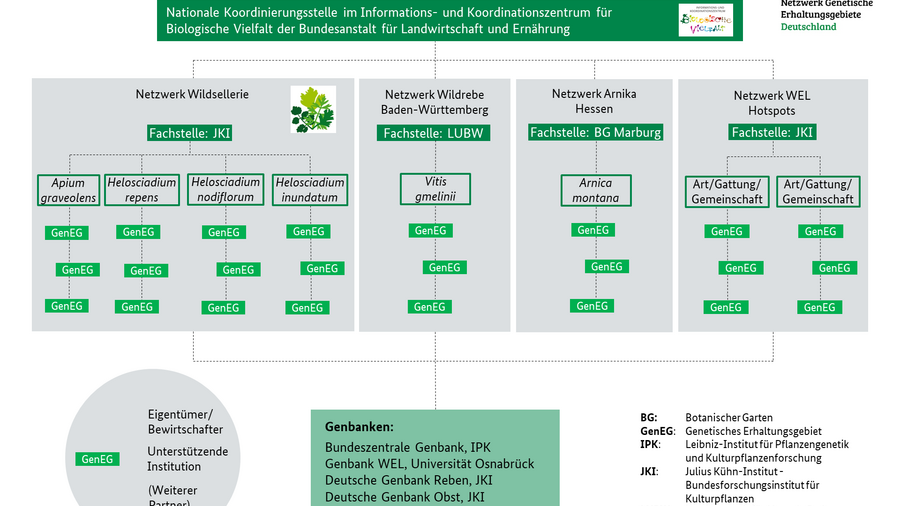 Structure of the Genetic Conservation Areas Network Germany. Mouse click leads to enlarged view.