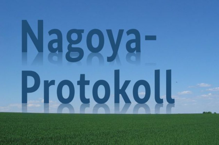 Das Wort "Nagoya-Protokoll" auf einem Lanschaftsbild