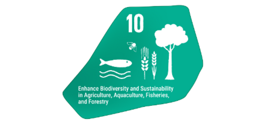 Puzzlestück in türkis mit verschiedenen Icons die Forst-, Land- und Fischereiwirtschaft darstellen.und Text.