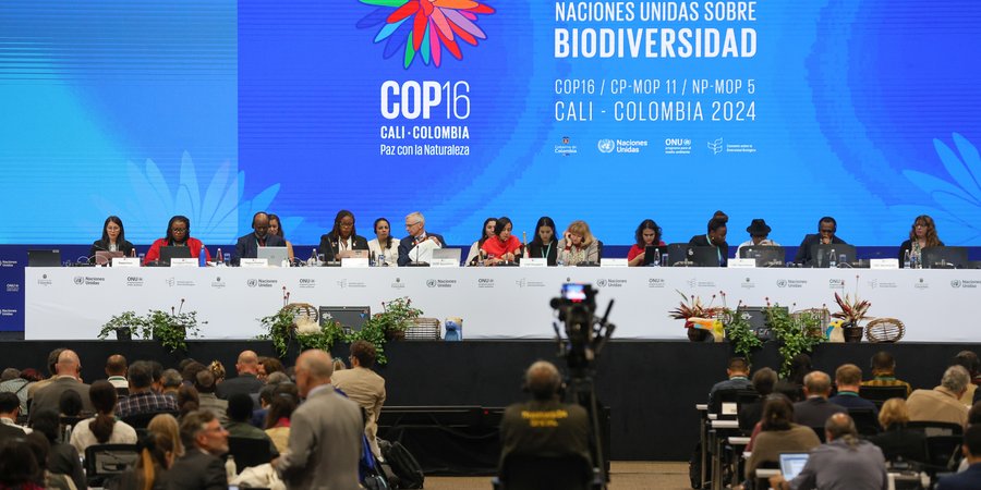 Foto des Konferenzplenums mit blauem Hintergrund.