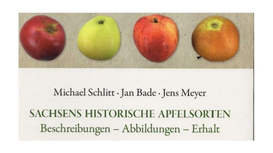 Abbildung verschiedenfarbiger Apfelsorten. Mausklick führt zur vergrößerten Ansicht