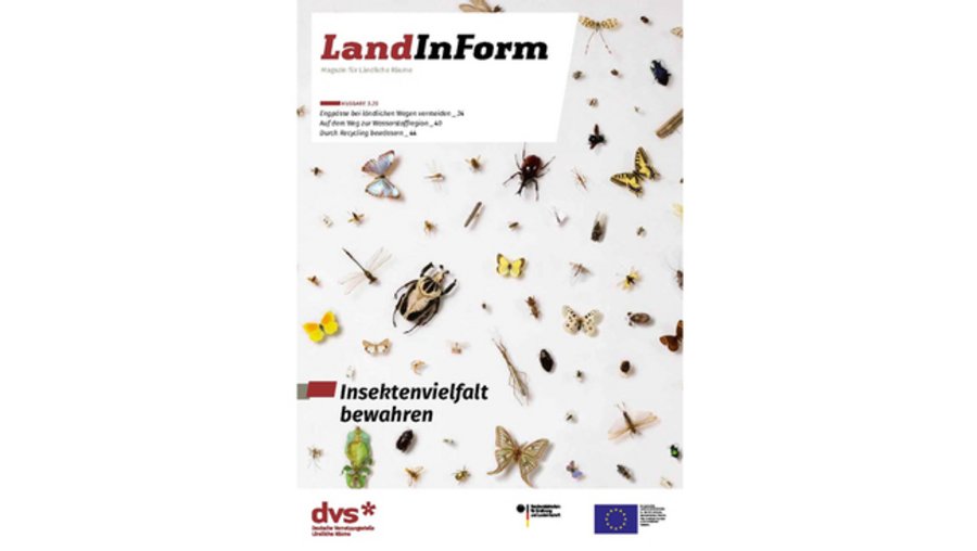 [Translate to en:] Titelbild der Ausgabe zu Insekentvielfalt des Magazins LandInForm