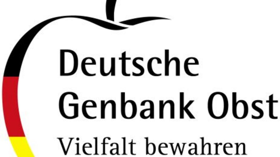 Logo der Deutschen Genbank Obst. Mausklick führt zur vergrößerten Ansicht